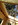 chesneau extension bois select bois
